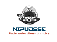 NIPUDSSE Logo